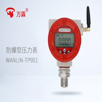 防爆型無線遠(yuǎn)傳報(bào)警數(shù)顯壓力計(jì)